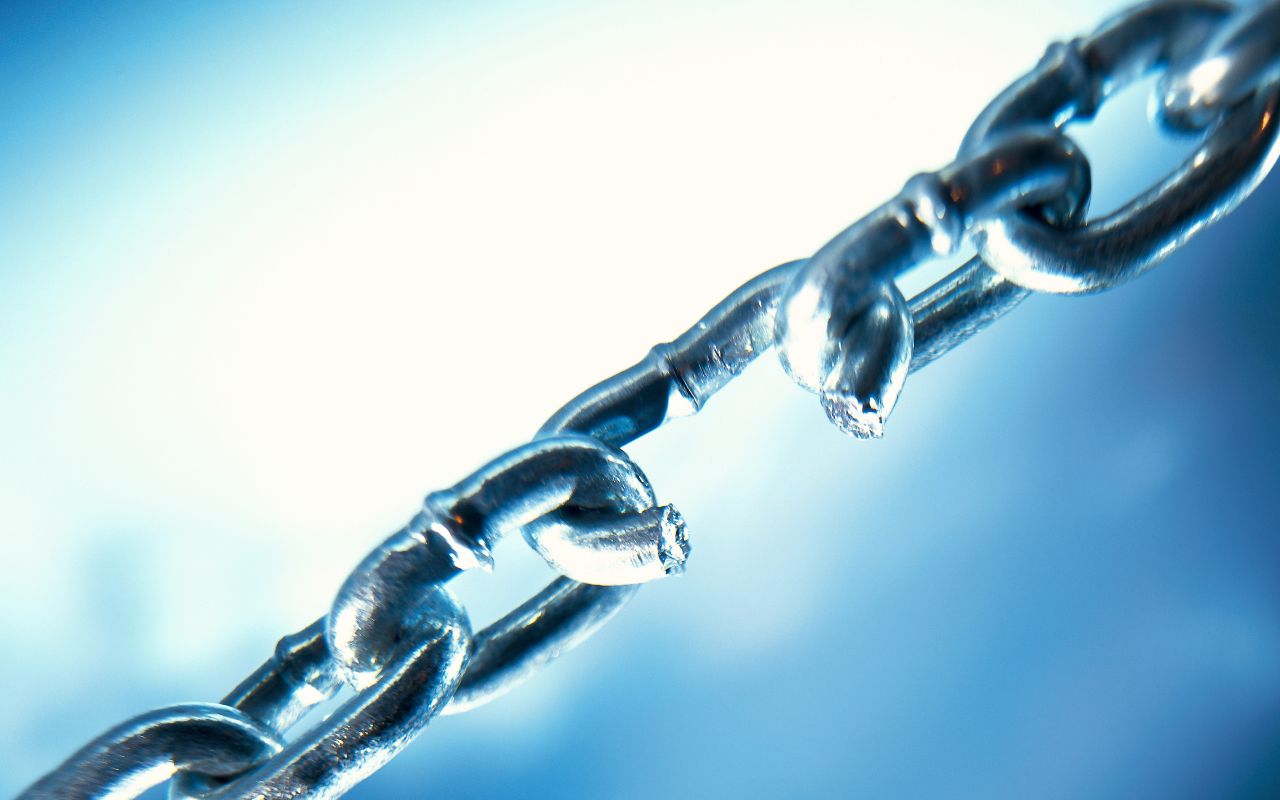 Comment faire du Netlinking performant pour le SEO ?
